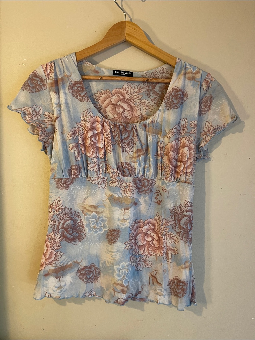 Vintage Y2K Babydoll Top Women’s Size XL Brown Blue Floral Mesh Blouse FAIRYCORE